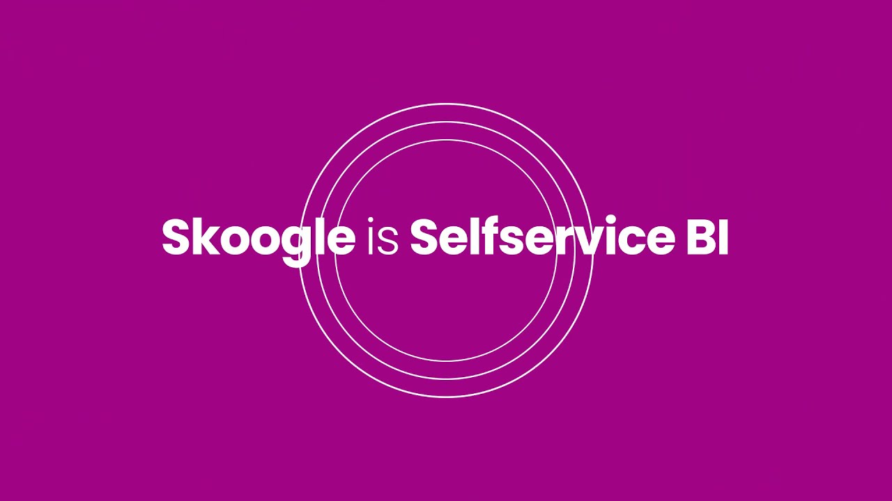 Skoogle BI